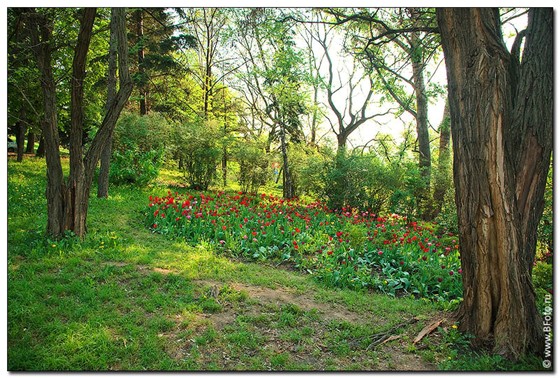 Фотографии: Картины