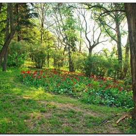 Фотографии: Картины